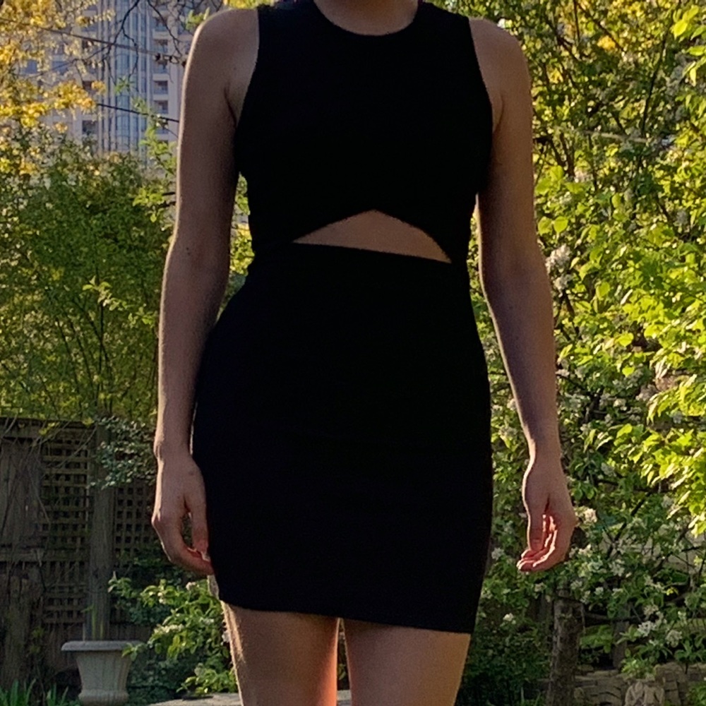 Wilfred Free Cut-Out Dress - Picture 2 of 6